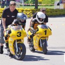 100mfg obing25 097 54519449784 o